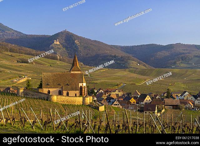 Hunawihr village with castle ruins near Ribeauville, Alsace, France