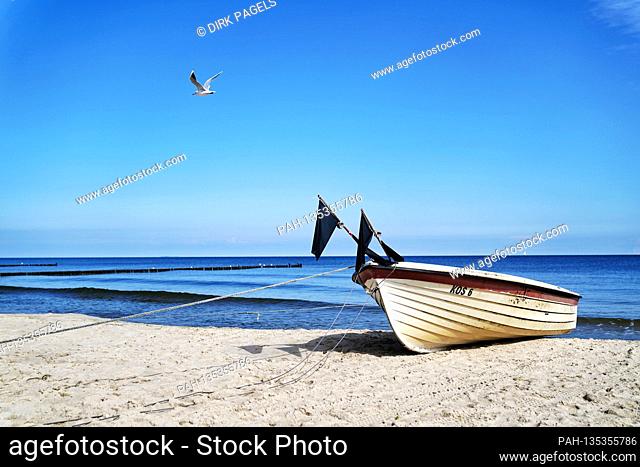 08/29/2020, Koserow, Usedom, a white fishing boat lies in front of a blue sky on the beach, in the background the Baltic Sea with groynes and a mowe flying by
