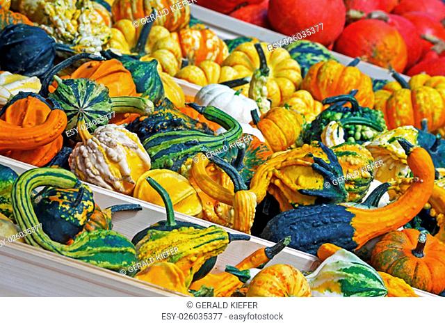 ornamental gourds in wooden crate