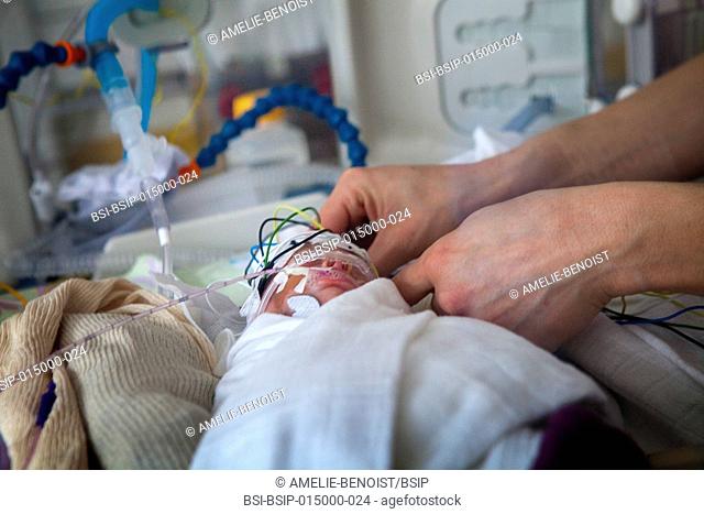 Reportage in a mobile functional exploration unit. A nurse intervenes in a neonatal service to carry out a check-up EEG on some premature babies