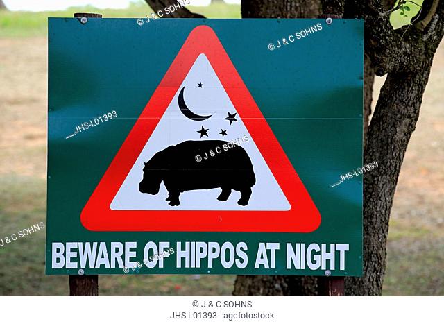 Traffc sign, warning for hippos at night, St. Lucia, iSimangaliso Wetland Park, former Greater St.Lucia Wetland Park, Kwa Zulu Natal, South Africa, Africa