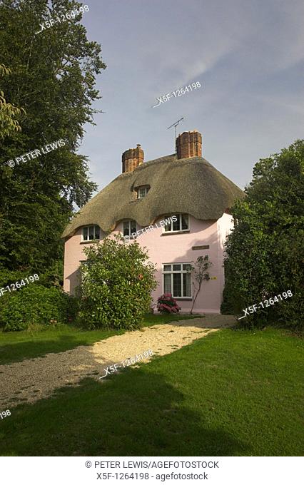 Pink Thatched Cottage of Brianstpuddle nr Dorchester noted for its Thatched Cottages Dorset