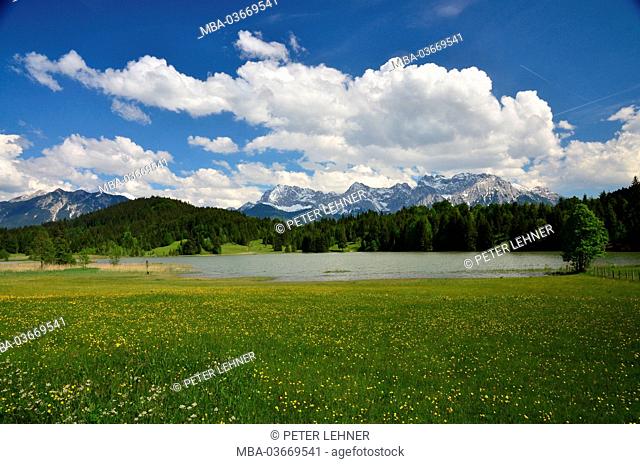 Germany, Bavaria, Werdenfels, Gerold, Geroldsee, marsh meadow, Karwendel mountains