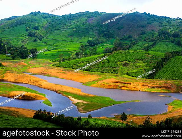 View of Manalar Reservoir and tea gardens in Megamalai, Tamil Nadu, India