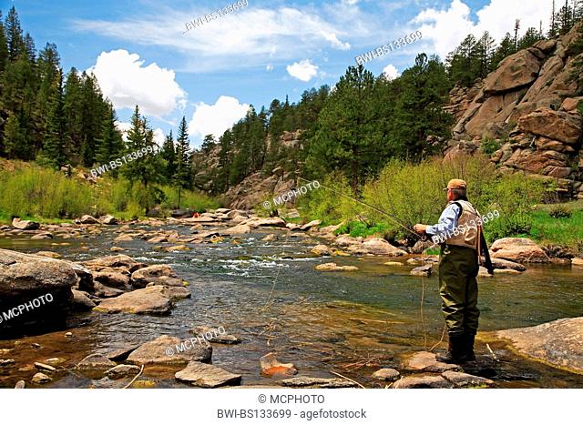 trout fishing, USA, Colorado, Eleven Mile Caynon