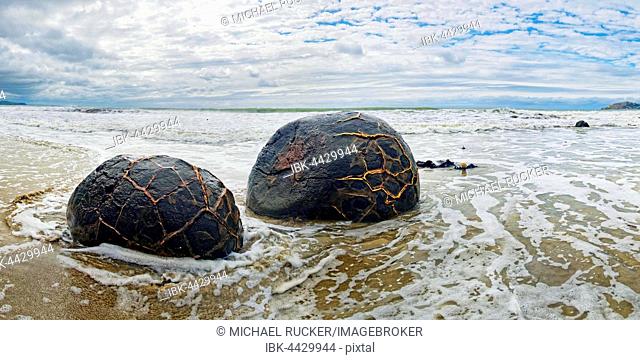 Moeraki Boulders, spherical rocks on Koekohe Beach, Otago, South Island, New Zealand