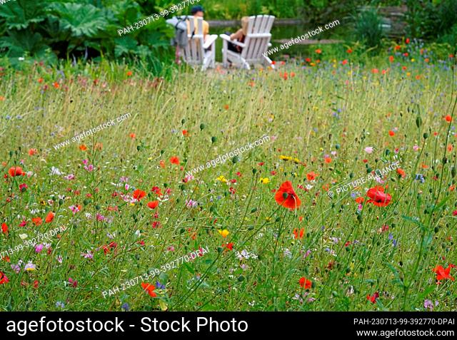 13 July 2023, Hamburg: Passers-by sit next to my wildflower meadow in the park ""Planten un Blomen"". Photo: Marcus Brandt/dpa