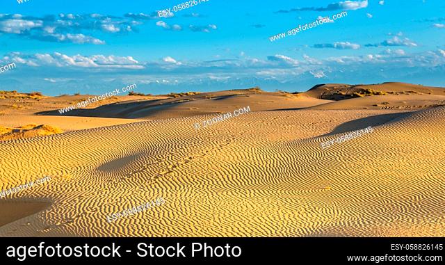 desert in sunset, west of china