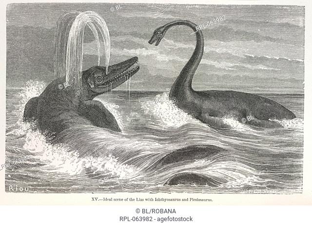 Ichthyosaur and Plesiosaur 'Ideal scene of the lias with Ichthyosaurus and Plesiosaurus'. Two marine dinosaurs. Image taken from The World before the Deluge...