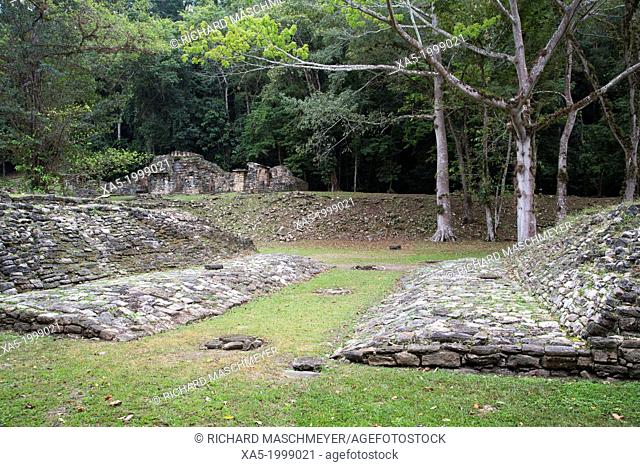 Mexico, Chiapas, Yaxchilan Archaeological Zone, Juego de Pelota (ball court)