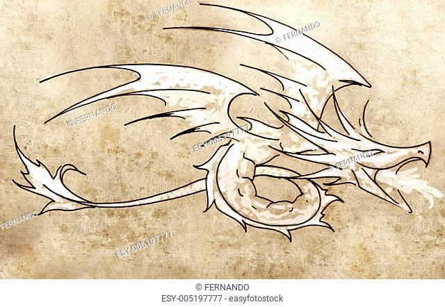 Sketch of tattoo art, dragon line drawing