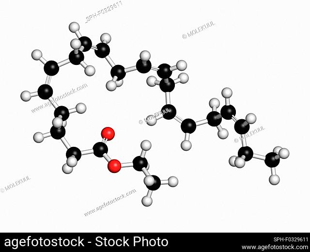 Icosapent ethyl drug molecule, illustration