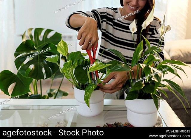 Smiling woman cutting plant leaf with scissors at home