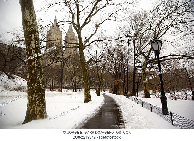 Winter in New York, Central Park