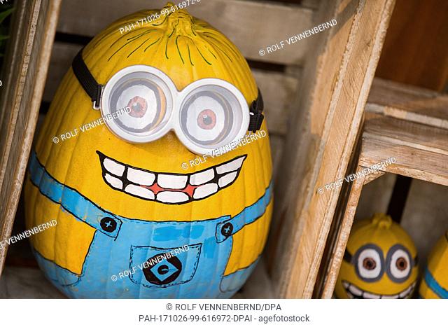 Pumpkins painted in the likeness of the Minions pictured at Thomas-Haenraets, a pumpkin producer, in Hurth, Germany, 17 October 2017