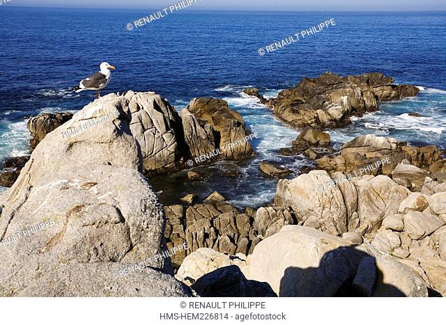 United States, California, Monterey Peninsula, Pebble Beach, 17 Mile Drive, Pescadero Point