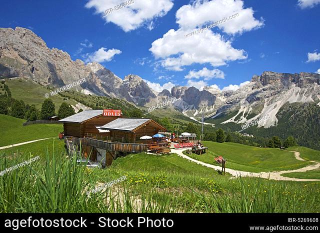 Seceda, Dolomites, Trentino, South Tyrol, Italy, Europe