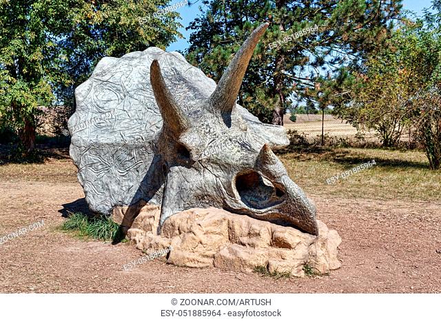 Big realistic model of prehistoric dinosaur triceratops skull