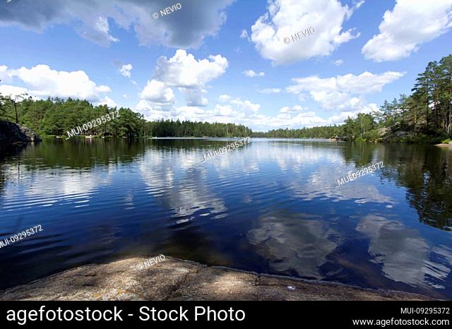 Characteristic scandinavian lake surrounded by pine trees