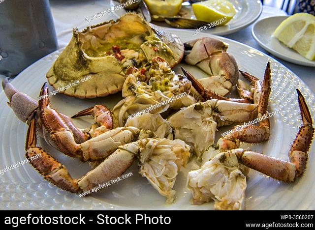 Seafood from Galicia. Roasted crab