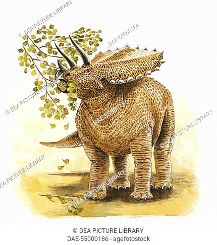 Palaeozoology - Cretaceous period - Dinosaurs - Pentaceratops - Art work by Nick Pike