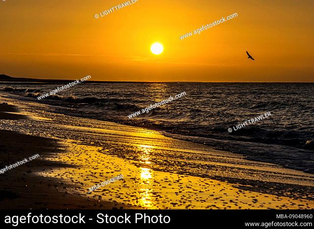 Evening beach landscape with sunset at the North Sea beach at Renesse, Netherlands