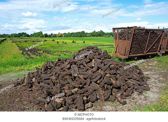 peat cutting, sods of peat, Germany, Lower Saxony, Wilhelmsfehn