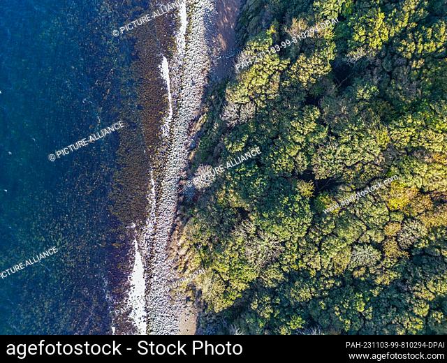 23 October 2023, Denmark, Vang: The autumnal landscape on the west coast of the Danish island in the Baltic Sea (aerial view taken with a drone)