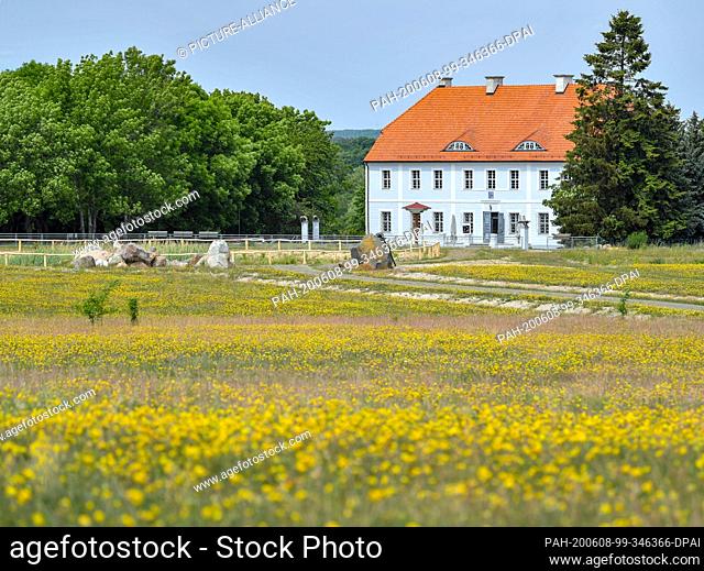 04 June 2020, Brandenburg, Welzow: The Geisendorf estate is situated on the edge of the Welzow-Süd opencast lignite mine owned by LEAG (Lausitz Energie Bergbau...