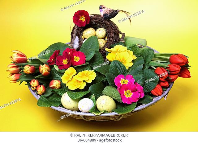 Bowl with tulips, primroses and Easter eggs