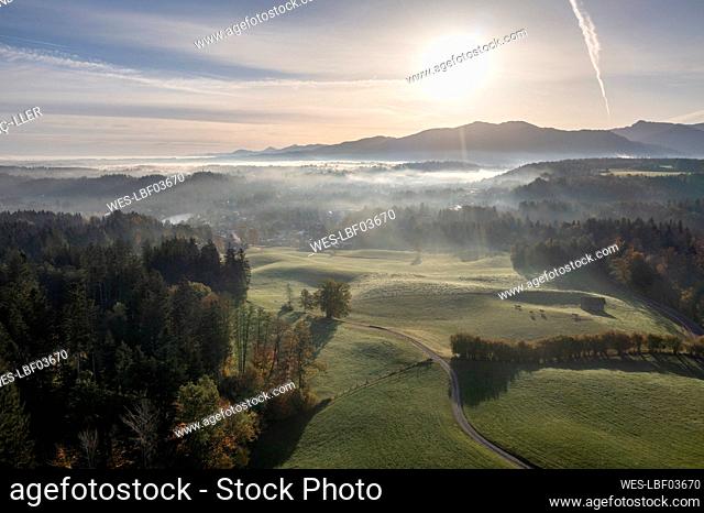 Germany, Bavaria, Aerial view of autumn forest at foggy sunrise with Alps in background