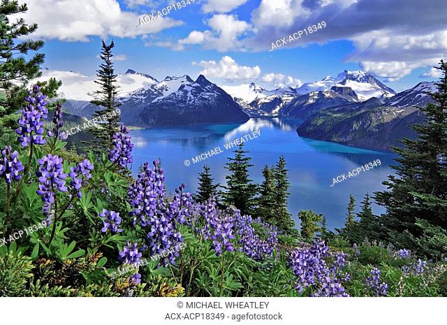 Garibaldi Lake from Panorama Ridge, Garibaldi Provincial Park, British Columbia, Canada