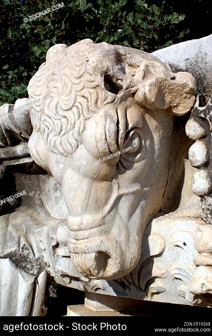 Sheep's head on ruins of Apollo temple in Didim, Turkey