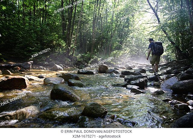 Hiker standing on rock in morning fog along Cedar Brook during the summer months in the Pemigewasset Wilderness of Lincoln