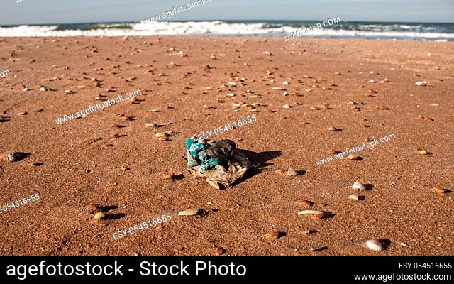 Dead dry fish on a seashell beach in Black sea. Sea pollution toxic plastic garbage
