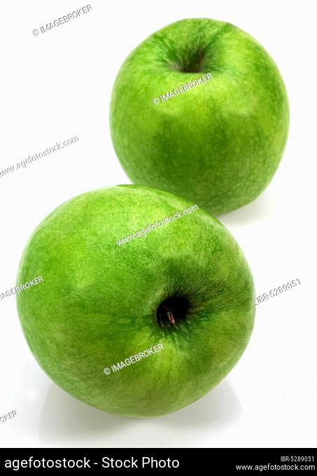Malus domestica, cultivated apple, apple, rose family, granny smith apple, malus domesticas against white background