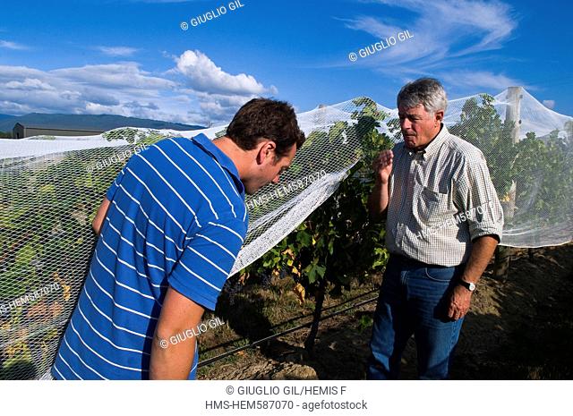 Australia, Victoria, wine-producing region of Yarra Valley at north east of Melbourne, the owner Dominique Portet and his son Ben on their winery on Maroondah...