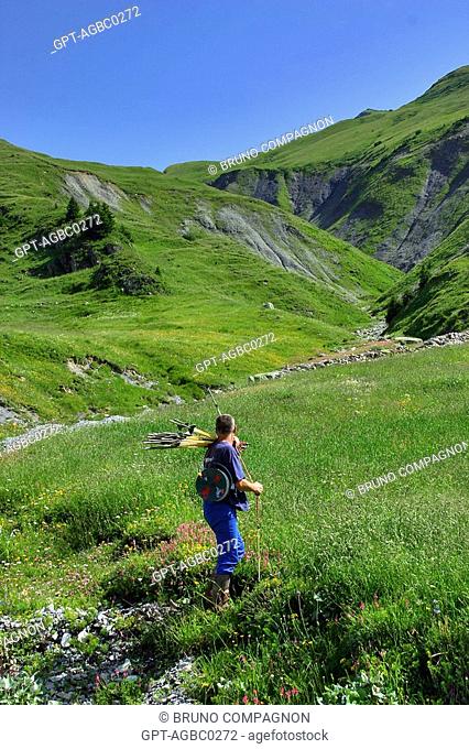 INSTALLATION OF A PARK IN MOUNTAIN PASTURE ON A FARM AT THE CORMET D'ARECHES, BEAUFORTAIN, SAVOIE 73