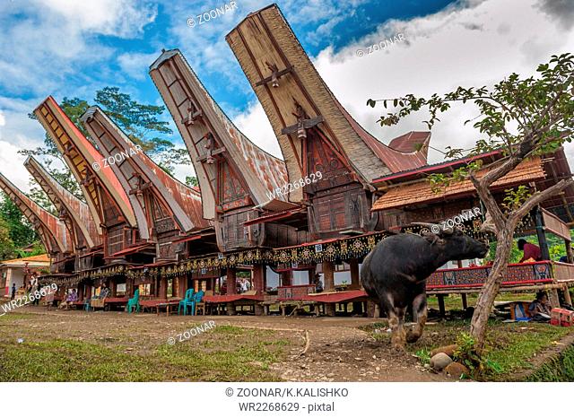 Tongkonan houses, traditional Torajan buildings, Tana Toraja, Sulawesi, Indonesia