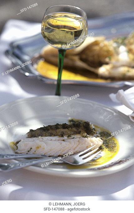 Zander with Herb Sauce on White Plate