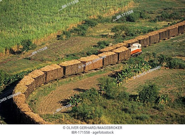 Wagons with sugar cane in the Valle de los Ingenios near Trinidad, Cuba