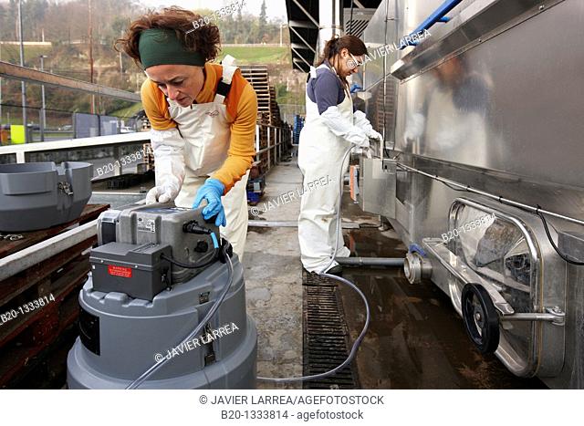 Azti-Tecnalia researchers collecting water samples for analysis, box washing machine, Mercabilbao fruits and vegetables wholesale market, Basauri, Bilbao