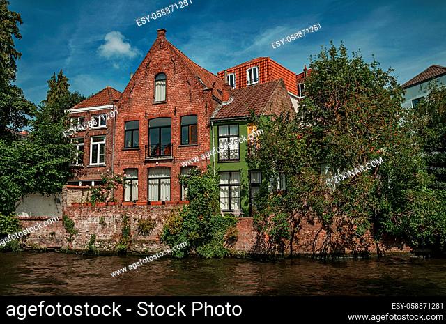 Greenery and brick buildings on the canal edge in a sunny day at Bruges. With many canals and old buildings, this graceful town is a World Heritage Site of...