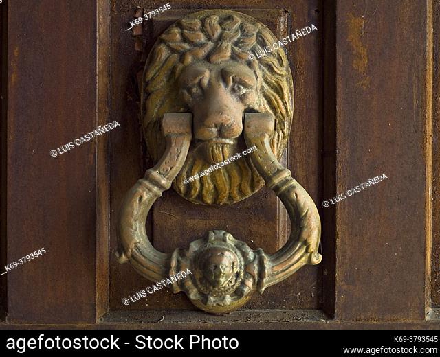 Front Door Lion Knocker