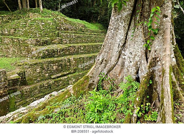 Yaxchilan, Selva Lacandona, Lakandonian Forest, Chiapas, Mexico