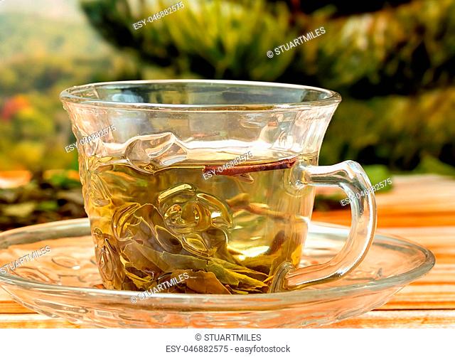 Green Tea Drink Indicates Health Beverage And Refreshment