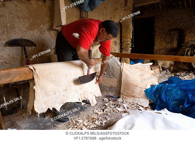 North Africa, Morocco, Fes district, Fez Tannery, Chouara Tannery. Leather processing