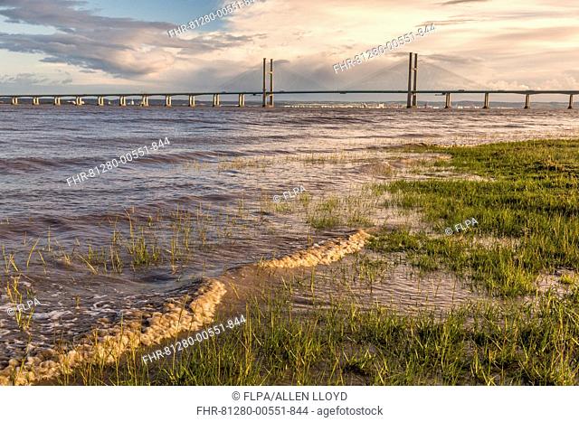 View of road bridge over river at sunset, viewed from Black Rock near Portskewett, Second Severn Crossing, River Severn, Severn Estuary, Monmouthshire, Wales