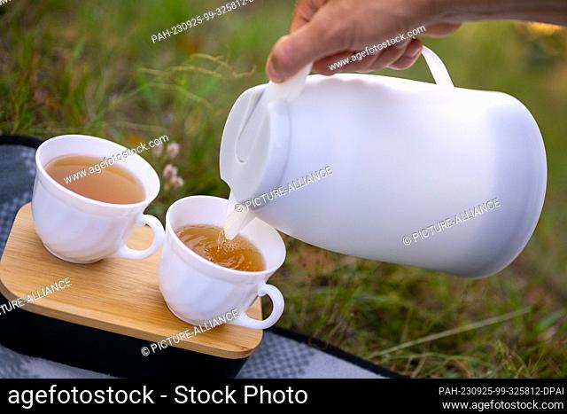ILLUSTRATION - 18 September 2023, Berlin: A man pours warm tea from a thermos into a cup at a picnic. Photo: Monika Skolimowska/dpa