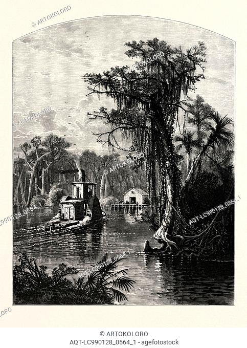 SILVER SPRING, FLORIDA. J.D. WOODWARD. Silver Springs is a U.S. populated place and spring in Marion County, Florida, just to the east of the city of Ocala